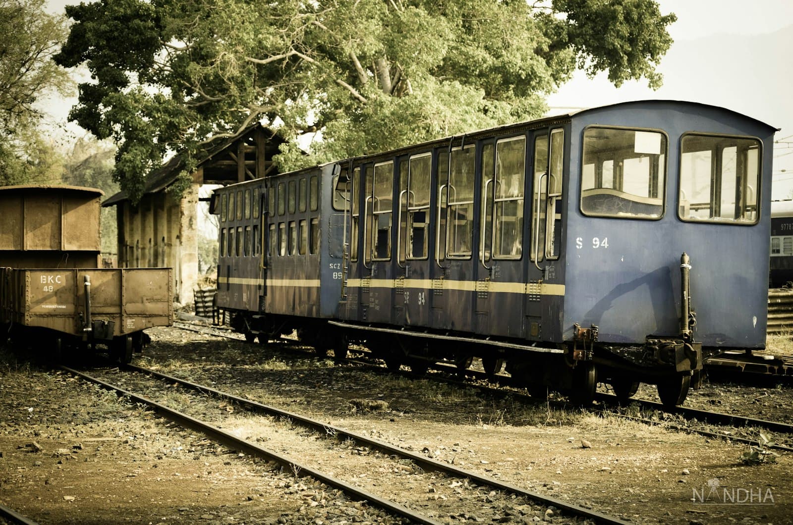 Ooty, Tamil Nadu